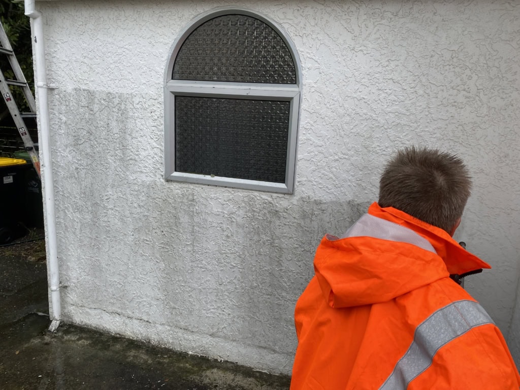 img 7383