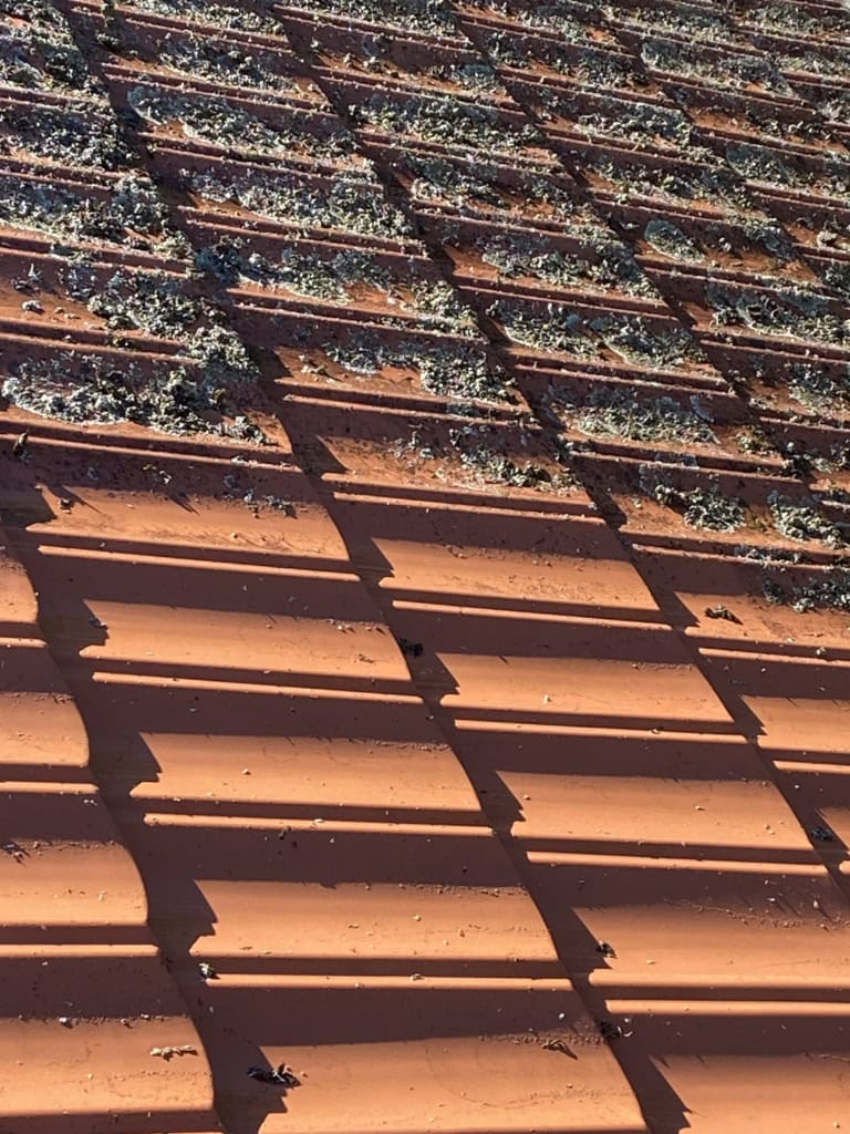 img 7405