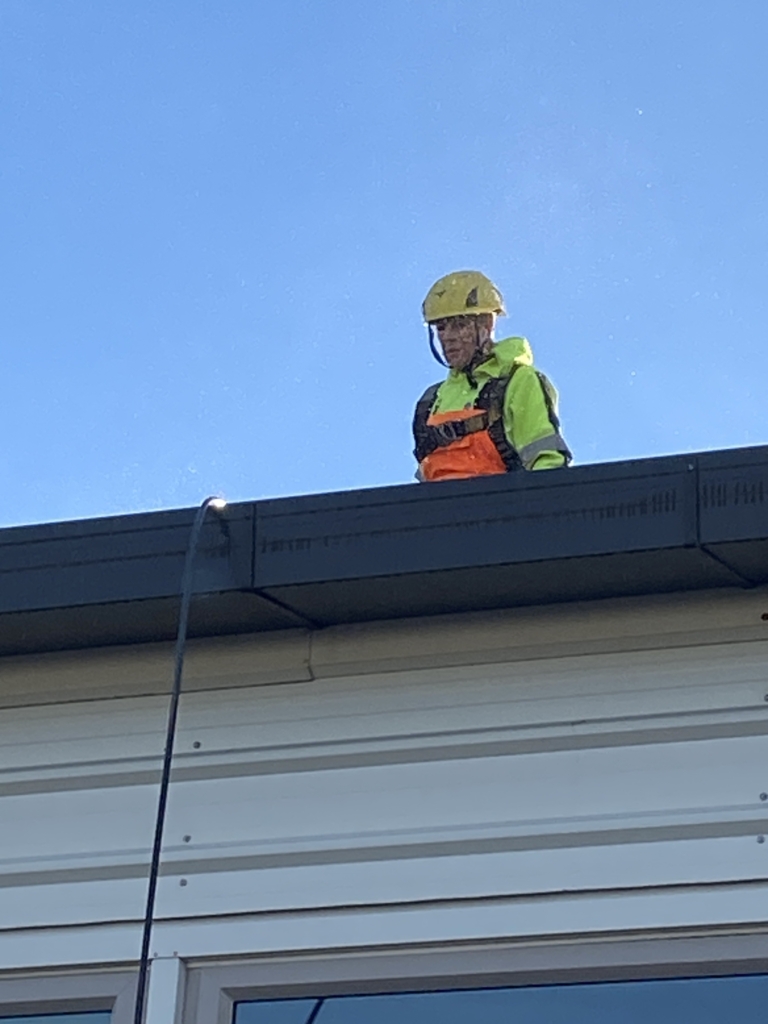 img 7421